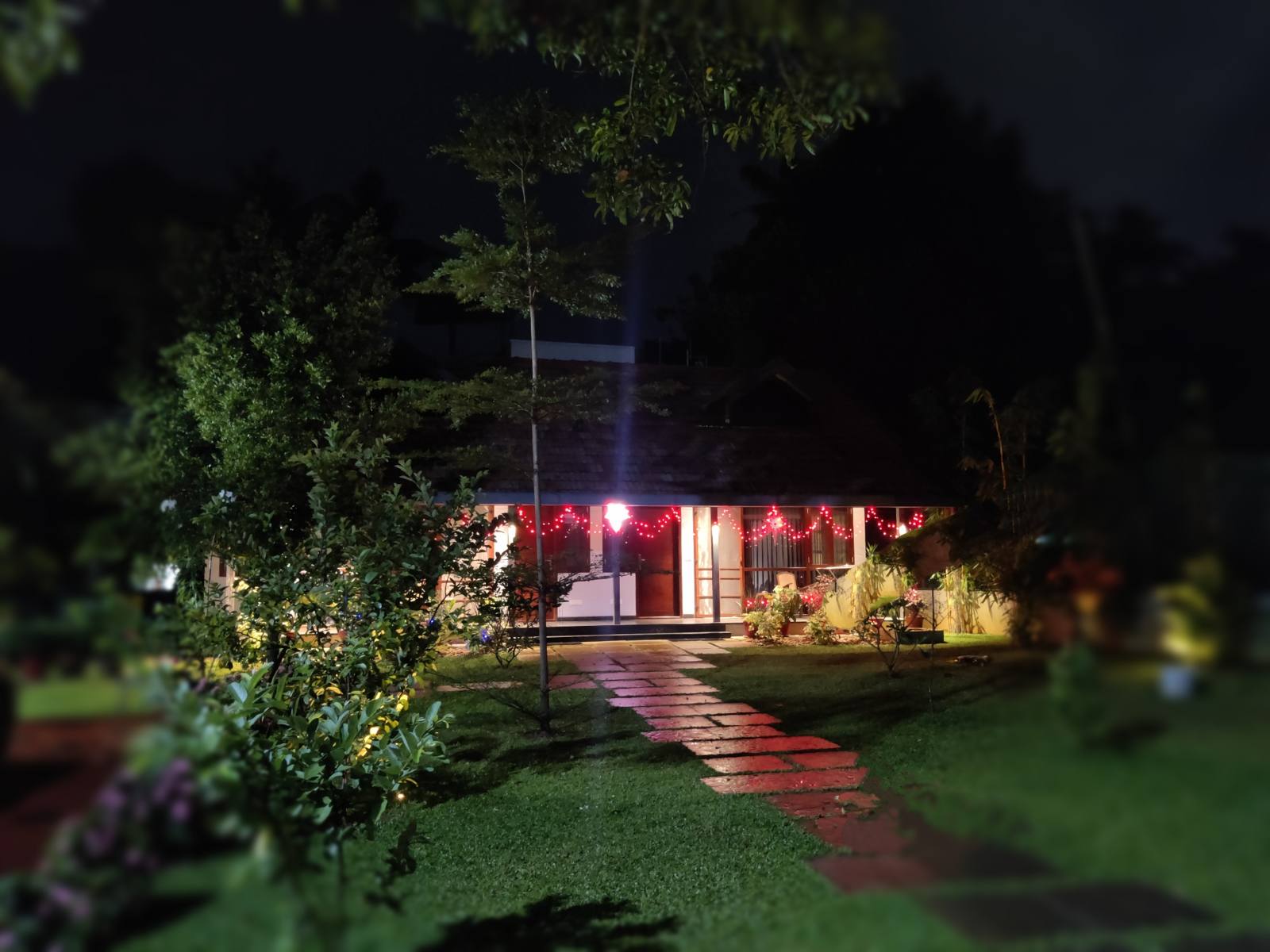 The cottage glowing at night beyond the garden
